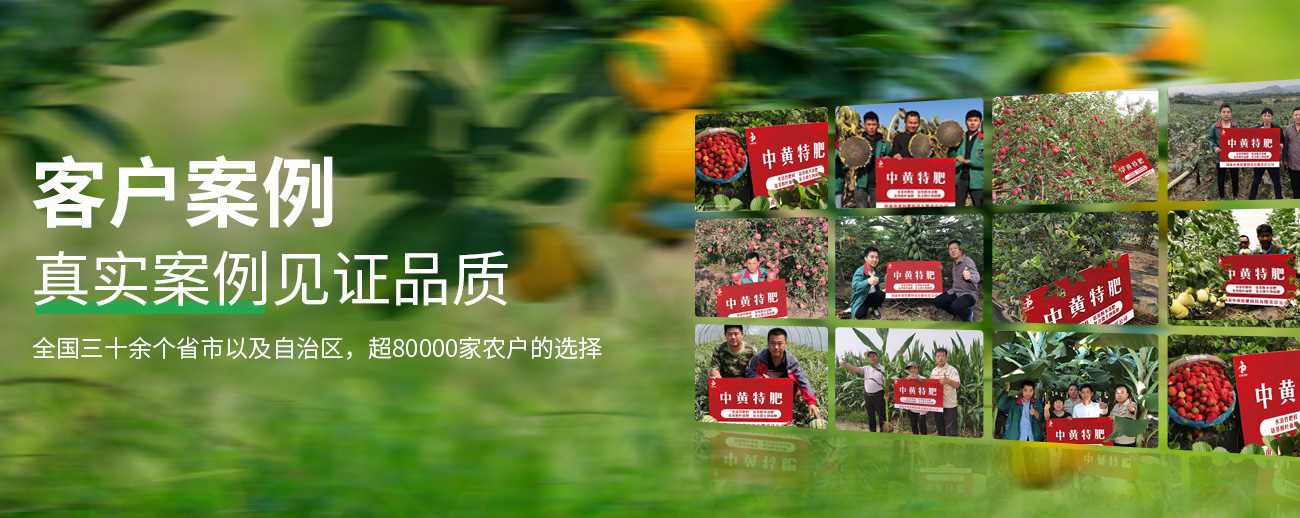 水溶肥料-大量元素水溶肥-含氨基酸水溶肥料-高塔复合肥-水溶肥生产厂家-168飞艇开奖官网开奖记录查询结果