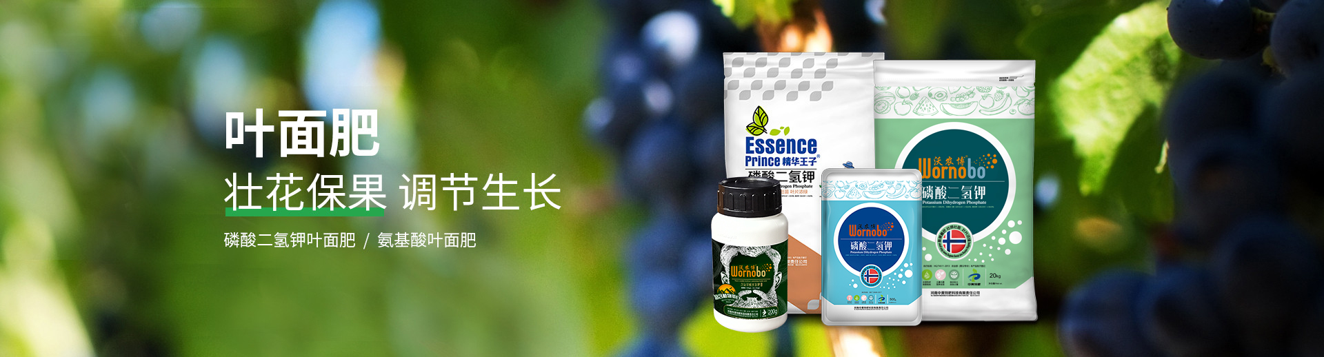 水溶肥料-大量元素水溶肥-含氨基酸水溶肥料-高塔复合肥-水溶肥生产厂家-168飞艇开奖官网开奖记录查询结果