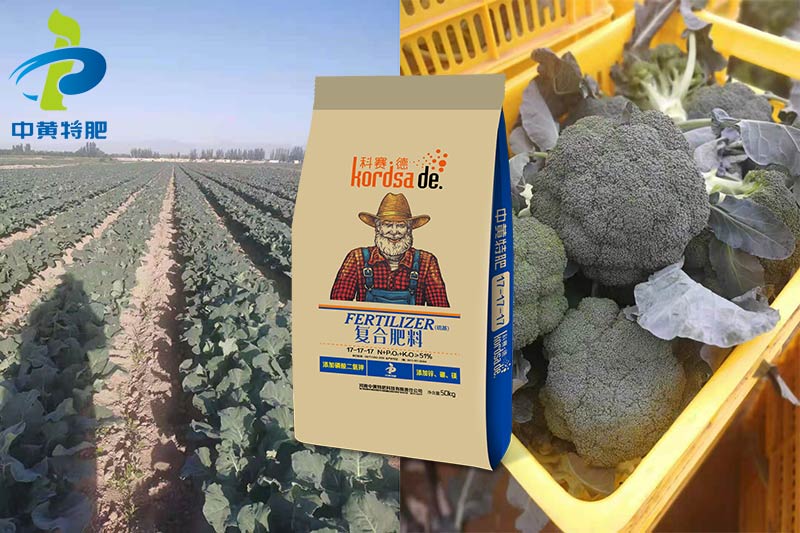 科赛德复合肥客户使用效果反馈 科赛德复合肥客户使用效果反馈